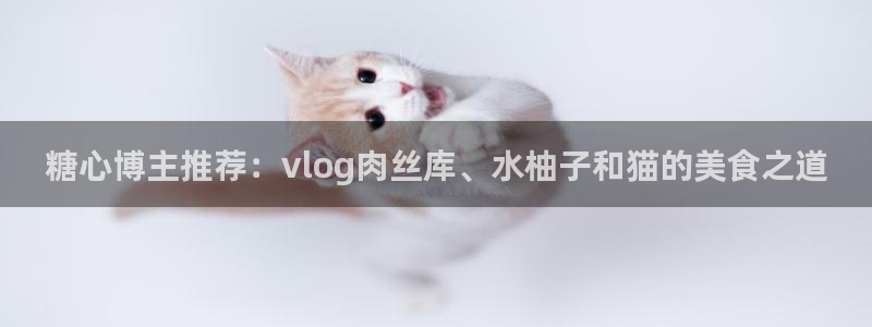 糖心vlog元气兔视频:糖心博主推荐:v