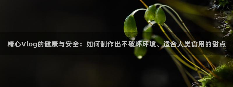 国产糖心vlog视频:糖心Vlog的健康