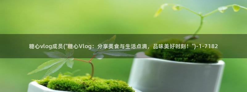 糖心出品vlog:糖心vlog成员(\