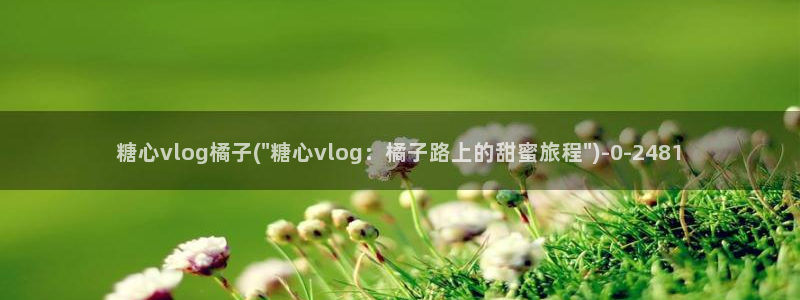 糖心vlog设计:糖心vlog橘子(\